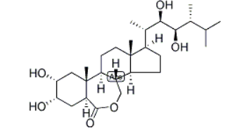 Epibrassinolide Structure